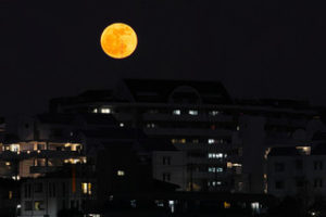 "I'll be looking at the moon, but I'll be seeing you"